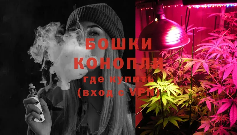 Бошки Шишки White Widow  Скопин 